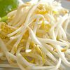 Brooklyn-Sourced Bean Sprout Salmonella Outbreak Has Sickened 68 People